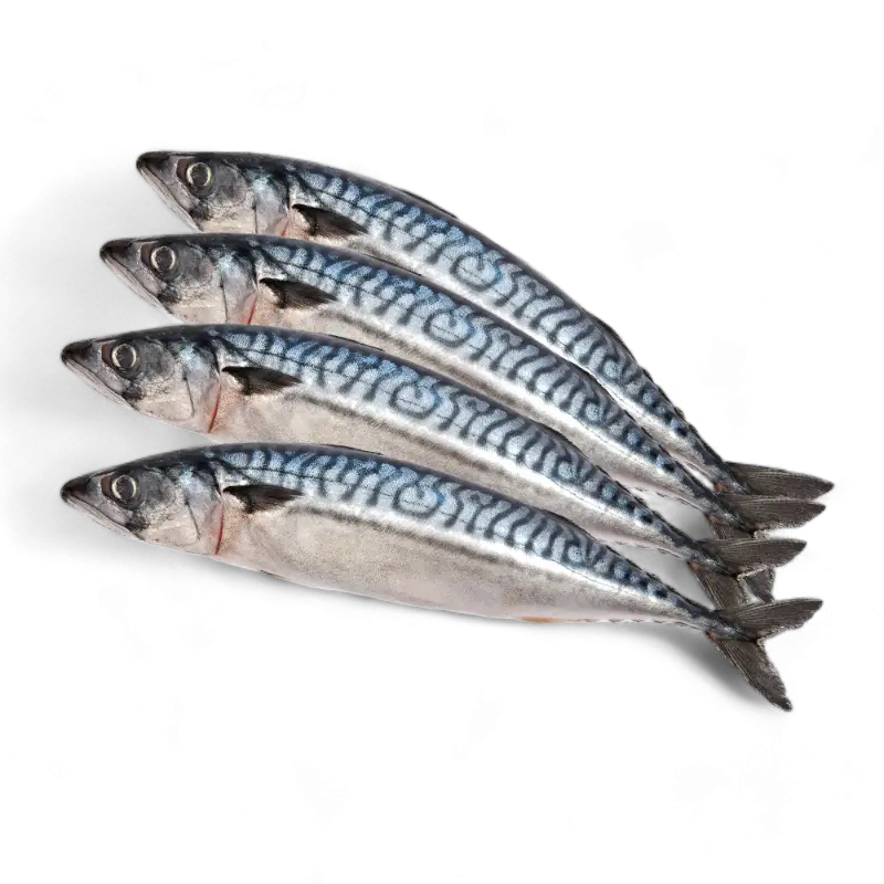 Fresh Frozen Mackerel 1kg