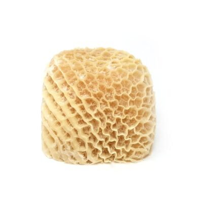 Honeycomb Tripe (Saki) 1kg