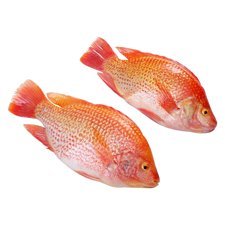 Box Of Whole Red bream fish (2.5kg Bag x 2) 6.5kg (300g - 500g)
