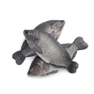 Frozen Tilapia