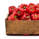 Long Red Capsicum Pepper 1kg