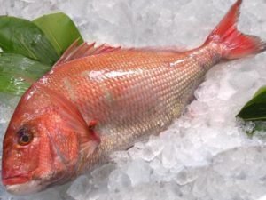 Whole Redbream Headless (300g - 500g) 3.25kg