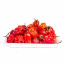 Fresh Scotch Bonnet 200g