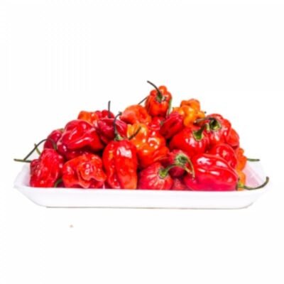 Fresh Scotch Bonnet 200g