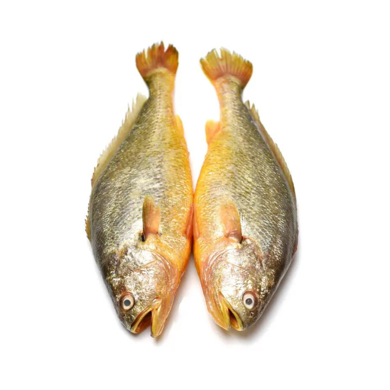 Croaker fish 2.5kg bag